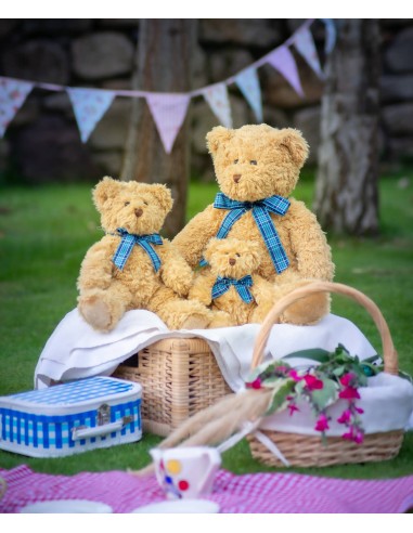 M-MM01-Bracken Bear